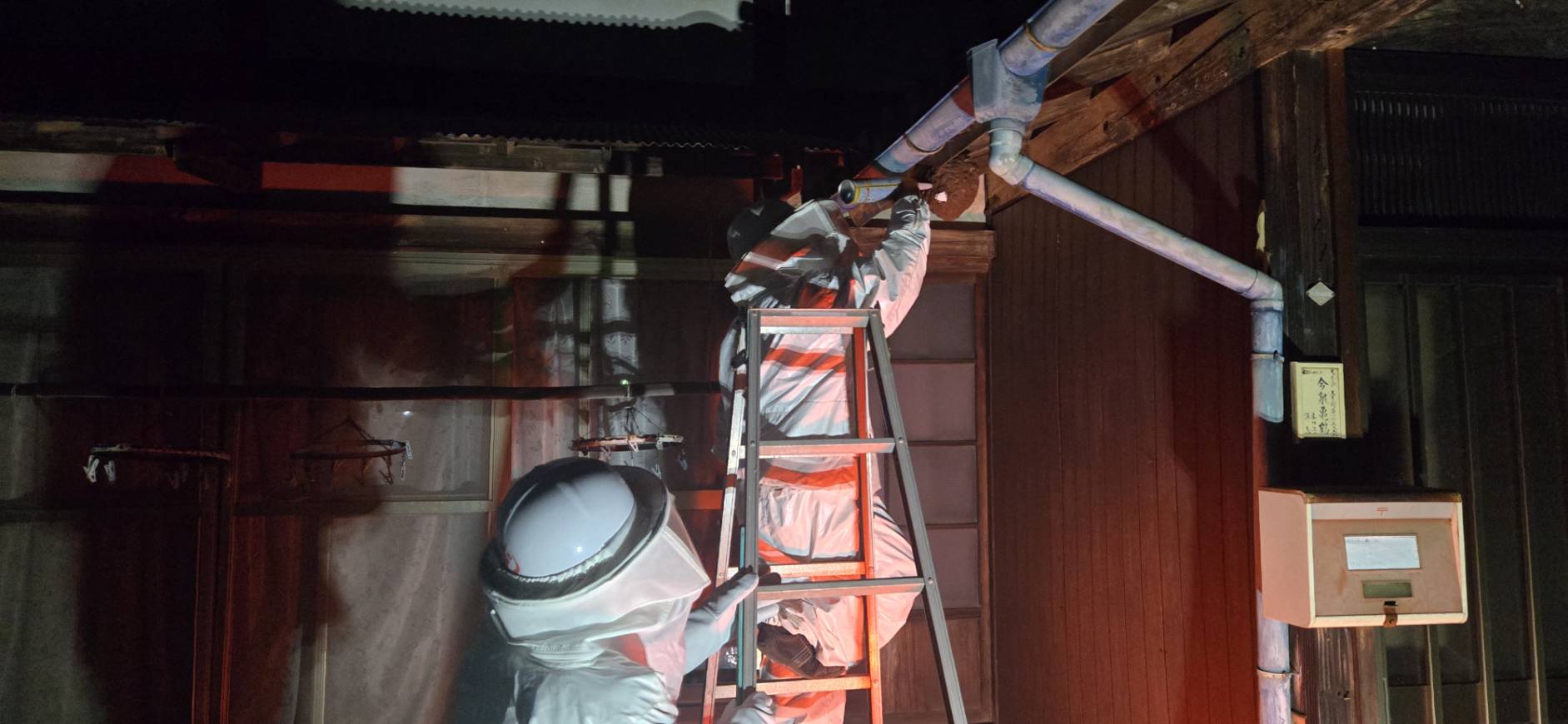 スズメバチ駆除のご依頼、急増中！