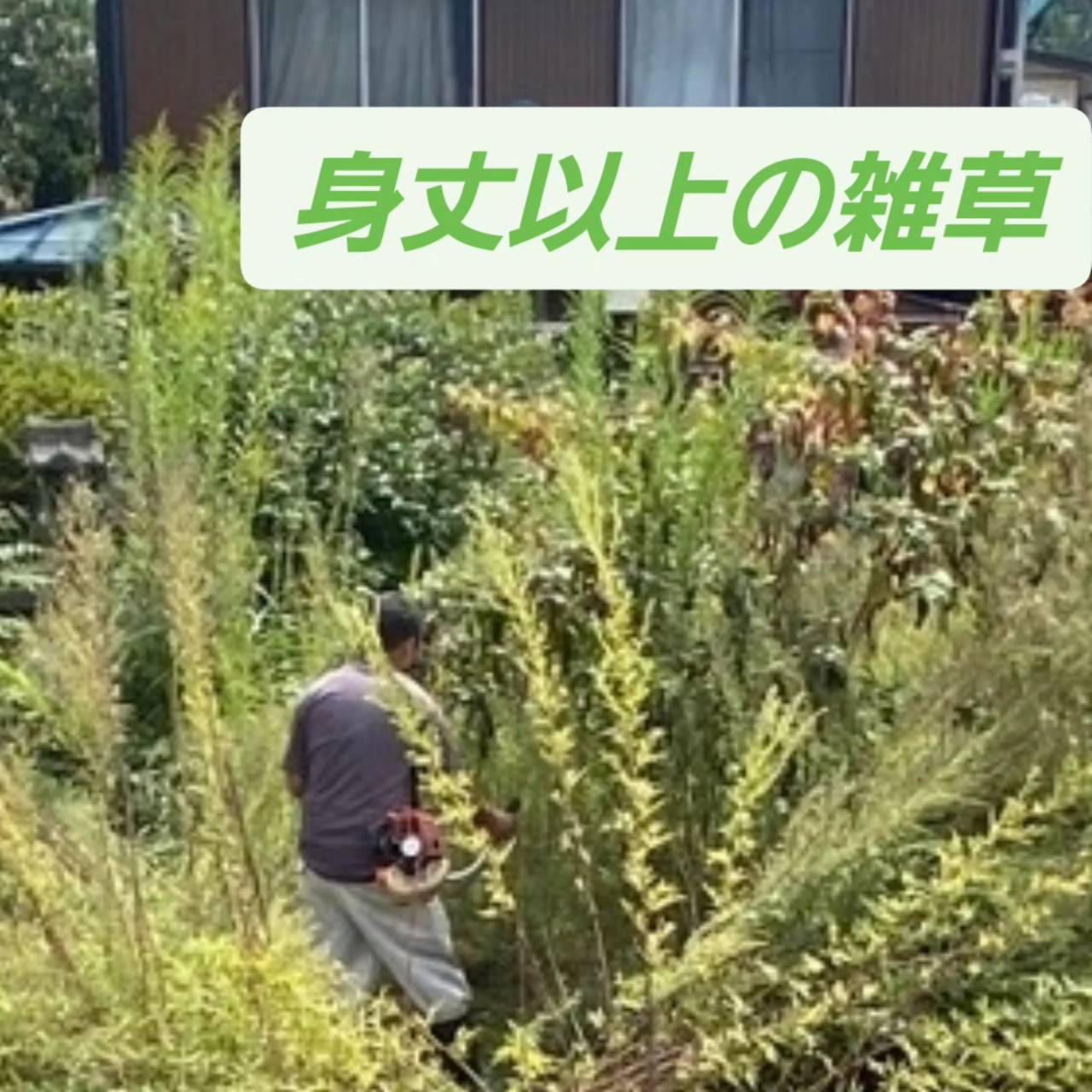 【都留市】空き地の草刈りを行いました