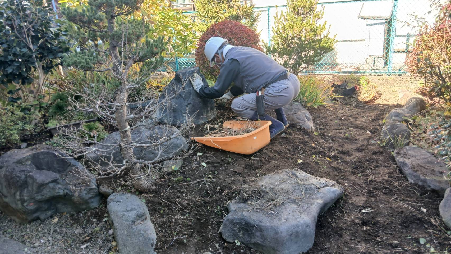​【大月市｜草むしり・生垣剪定】