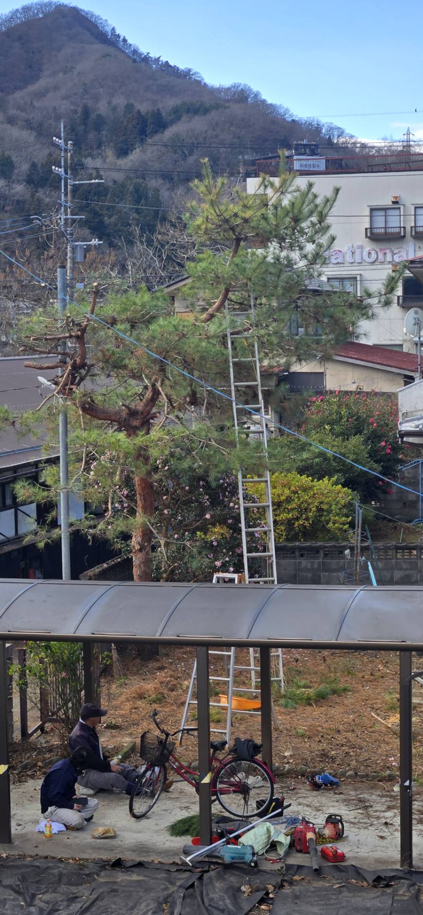 【大月市】庭木の大木伐採・特殊伐採